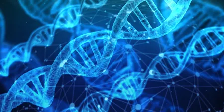 A Genetic Algorithm to Approximate the Traveling Salesman Problem cover